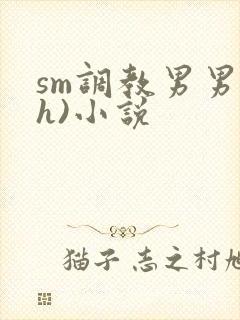 sm调教男男(h)小说封面