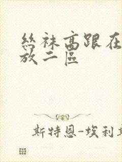 丝袜高跟在线播放二区