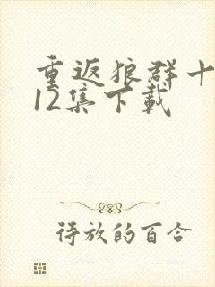 重返狼群十周年12集下载