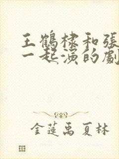 王鹤棣和张凌赫一起演的剧