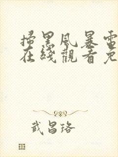 扫黑风暴电视剧在线观看免费完整版下载