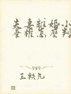 夫妻离婚小孩抚养权怎么判抚养费怎么出