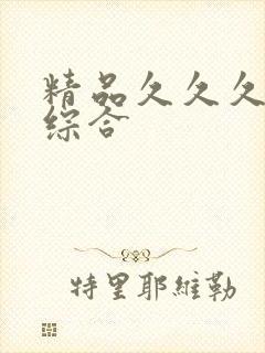 精品久久久国产综合