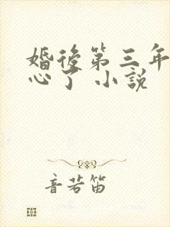 婚后第三年她变心了 小说