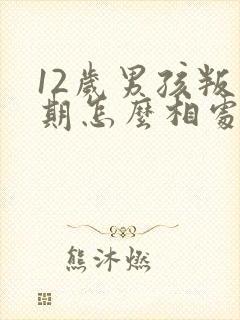 12岁男孩叛逆期怎么相处