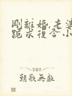 刚离婚,老婆就跪求复合小说下载txt封面