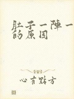 肚子一阵一阵痛的原因