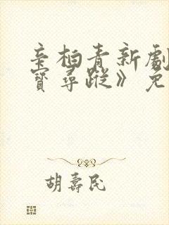 辛柏青新剧《护宝寻踪》免费观看封面