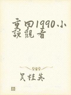 重回1990小说观看