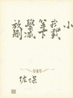 放学等我小说无删减下载封面