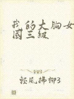 我的大胸女友韩国三级封面