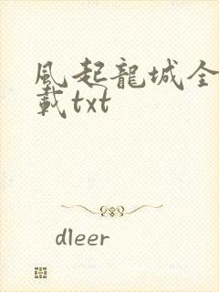 风起龙城全本下载txt