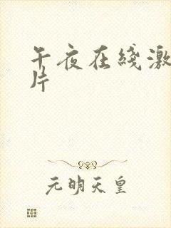 午夜在线激情看片