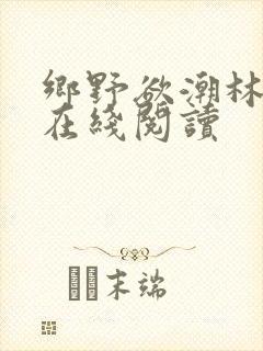 乡野欲潮林天成在线阅读