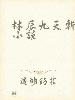 林辰九天斩神诀小说