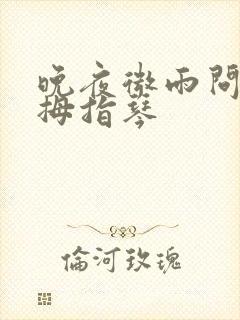 晚夜微雨问海棠拇指琴封面