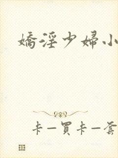 娇淫少妇小说