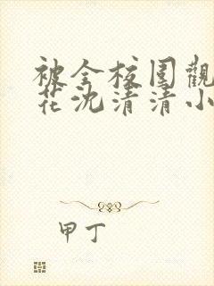 被全校围观的校花沈清清小说