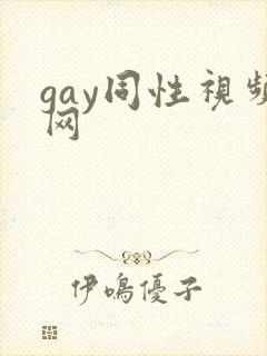 gay同性视频网封面