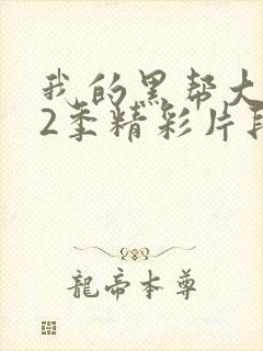 我的黑帮大佬第2季精彩片段