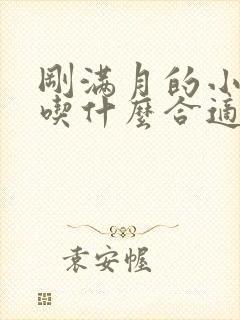 刚满月的小奶狗吃什么合适