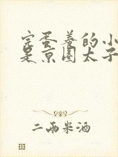 完蛋养的小白脸是京圈太子爷短剧