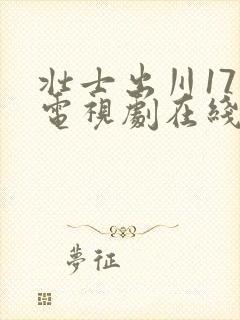 壮士出川17集电视剧在线观看封面