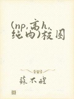 (np,高h,纯肉)校园