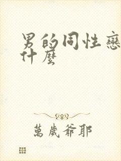 男的同性恋俗称什么