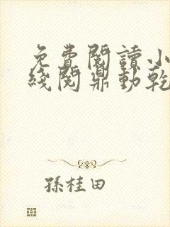 免费阅读小说在线阅鼎动乾坤