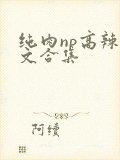 纯肉np高辣h文合集封面