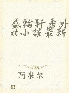 盛轮轩番外篇txt小说最新章节