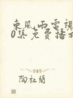 东风雨电视剧40集免费播放在线观看