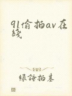91偷拍av在线封面