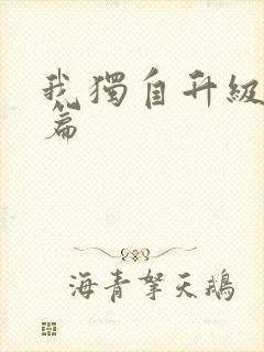 我独自升级番外篇