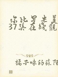 你比星光美丽第37集在线观看