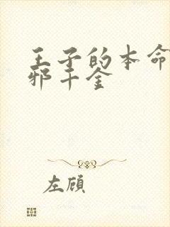 王子的本命是恶邪千金封面