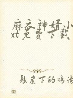 麻衣神婿小说txt免费下载封面