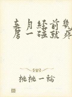 来月经前几天乳房一碰就疼咋回事