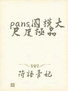 pans国模大尺度极品