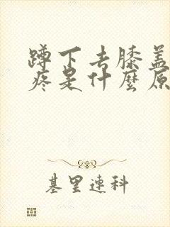 蹲下去膝盖后面疼是什么原因封面