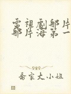 电视剧那片星空那片海第一部封面