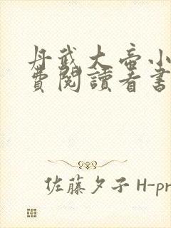 丹武大帝小说免费阅读看书网