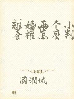 离婚两个小孩抚养权怎么判定