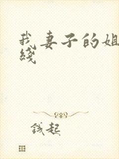 我妻子的姐姐在线封面