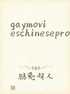 gaymovieschinesepron