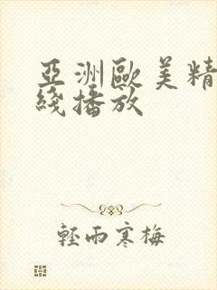 亚洲欧美精品在线播放