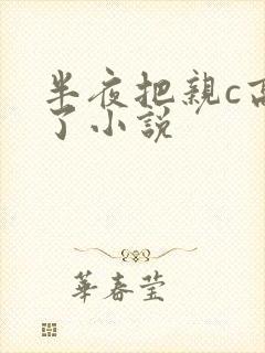 半夜把亲c高潮了小说
