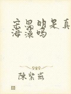 宋思明是真的爱海藻吗