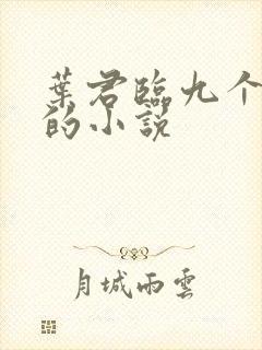 叶君临九个师傅的小说